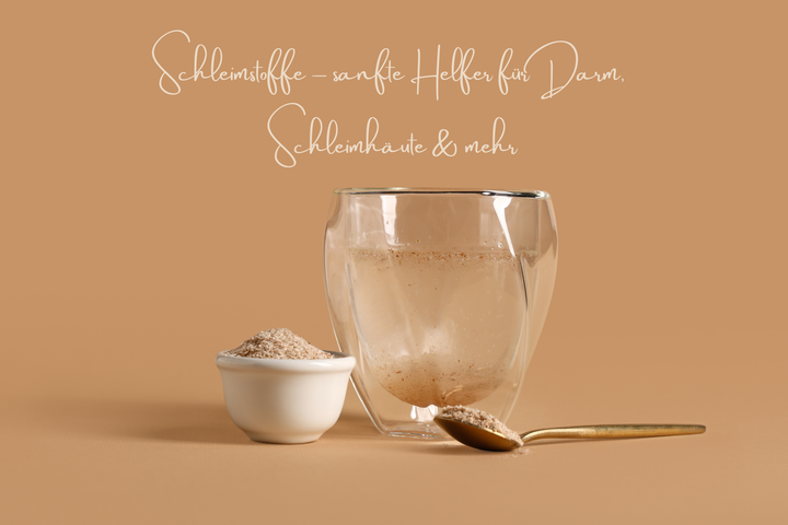 Schleimstoffe – sanfte Helfer für Darm, Schleimhäute & mehr