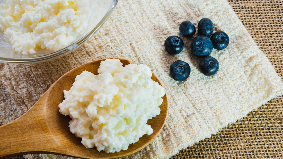 Kefir für Hunde: Zwei einfache & gesunde Rezepte zum Nachmachen