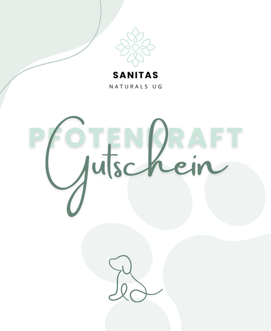 PFOTENKRAFT Geschenkgutschein